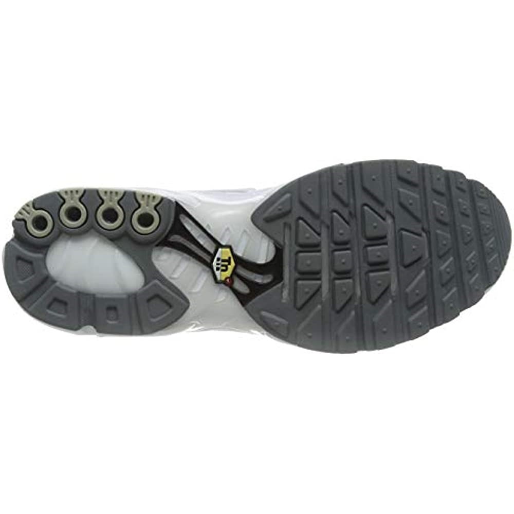 Nike Air Max Plus Se Tn1 Tuned Hommes Baskets Air Jordan Blanc-noir-cool Gris Suisse