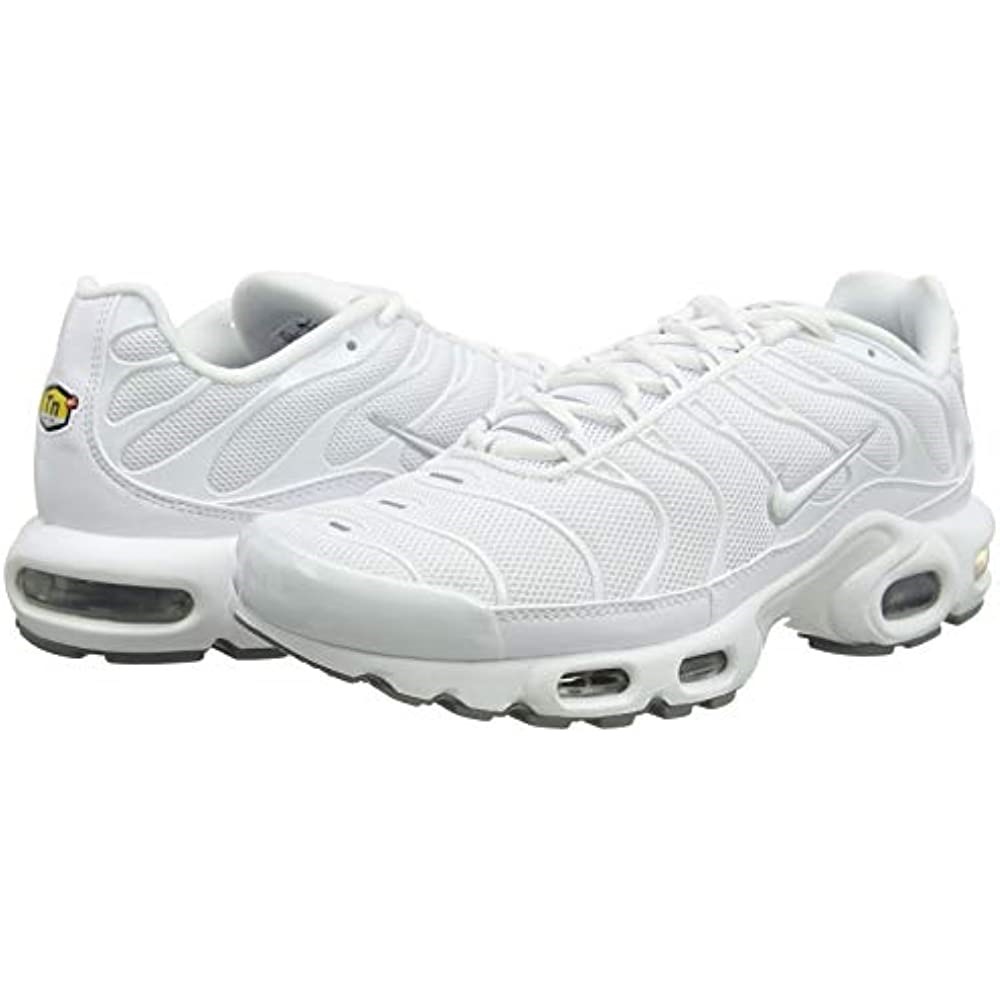 Nike Air Max Plus Se Tn1 Tuned Hommes Baskets Air Jordan Blanc-noir-cool Gris Suisse